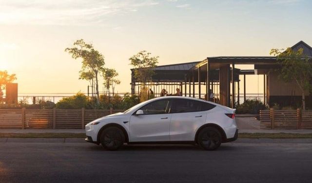 Tesla'nın Avrupa'daki pazar payı düşmeye devam ediyor