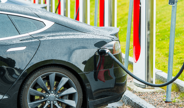 Elektrikli araçların rent a car filolalarındaki payı artıyor